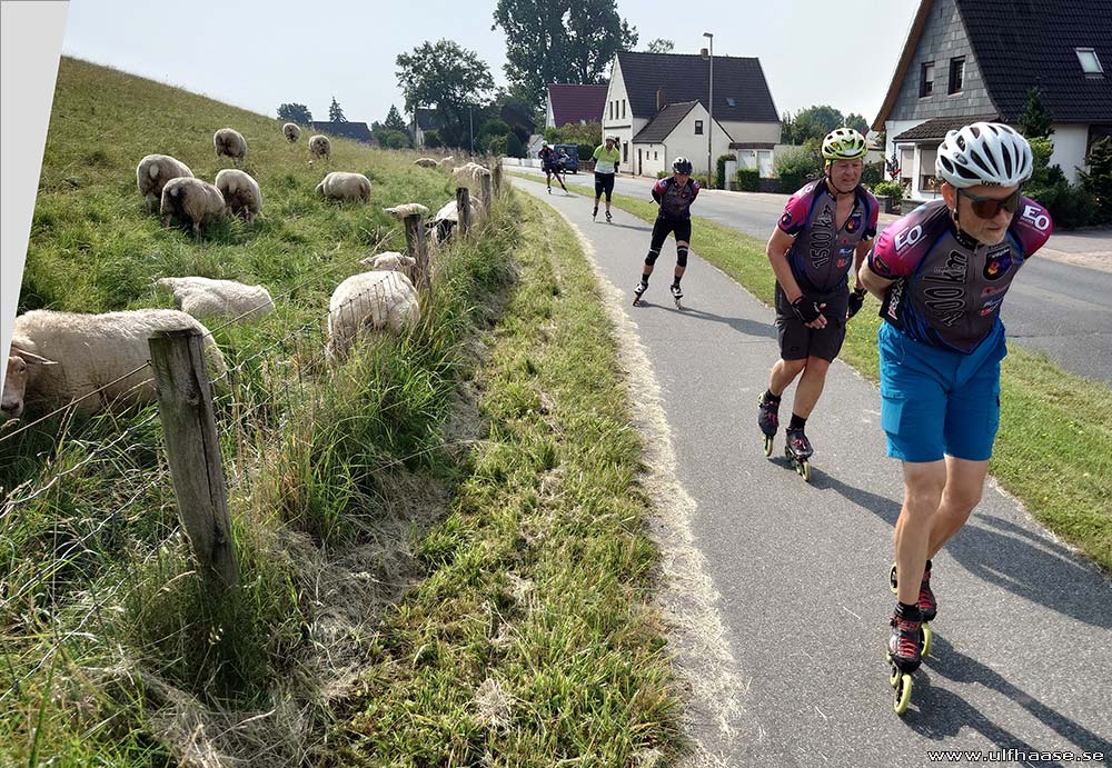 Ultra Skate Challenge (USC) 2025