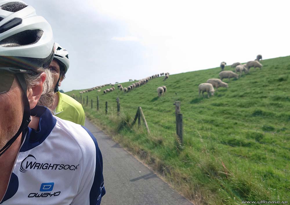 Ultra Skate Challenge (USC) 2025