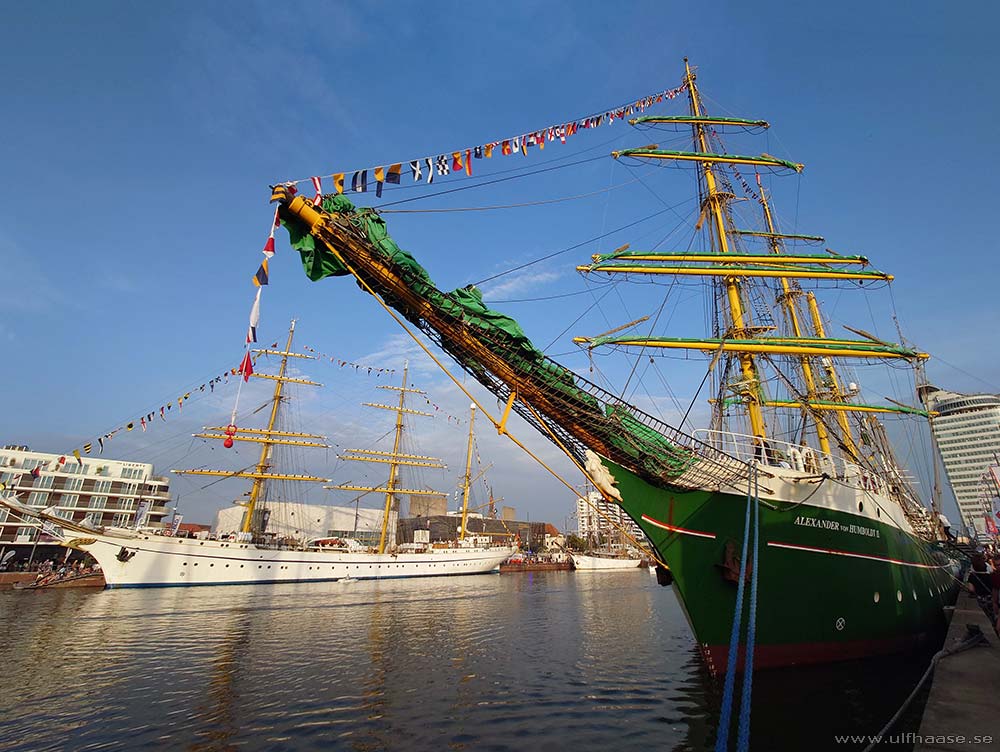 Ultra Skate Challenge (USC) 2025