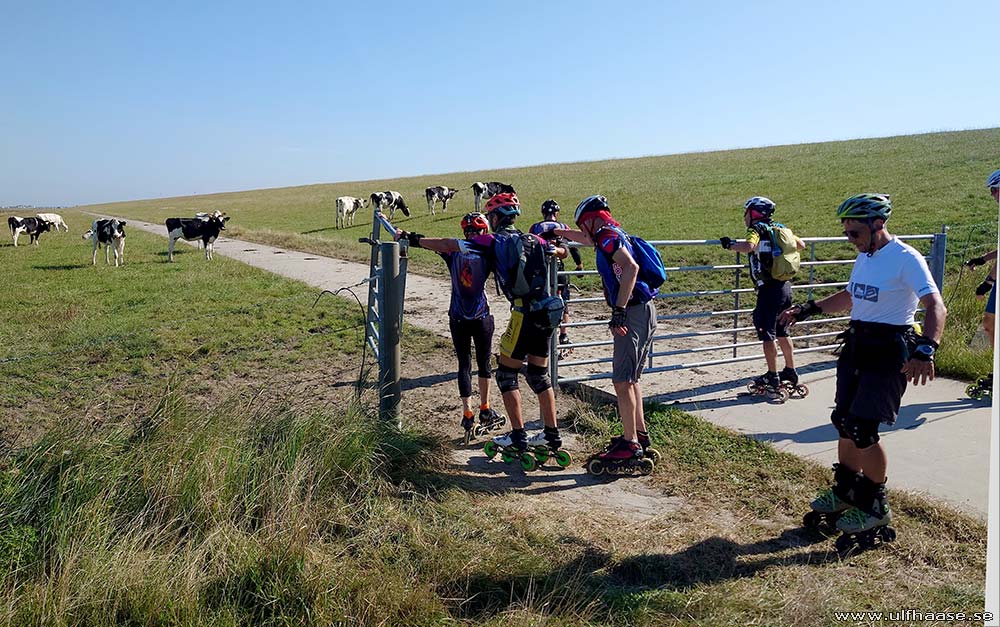 Ultra Skate Challenge (USC) 2025