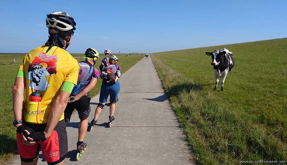 Ultra Skate Challenge (USC) 2025