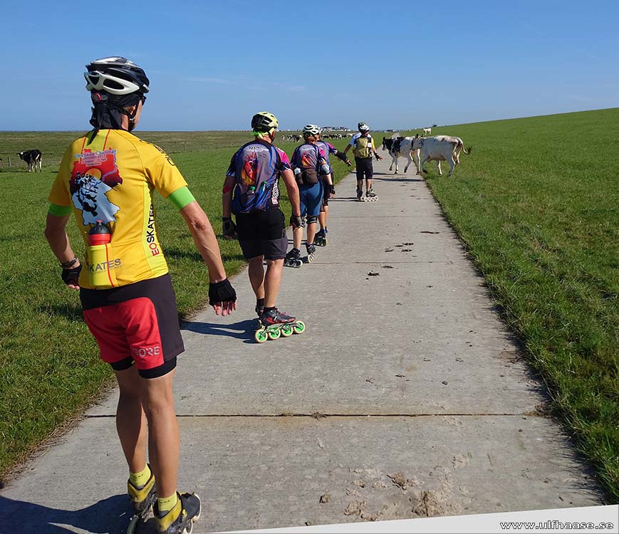 Ultra Skate Challenge (USC) 2025