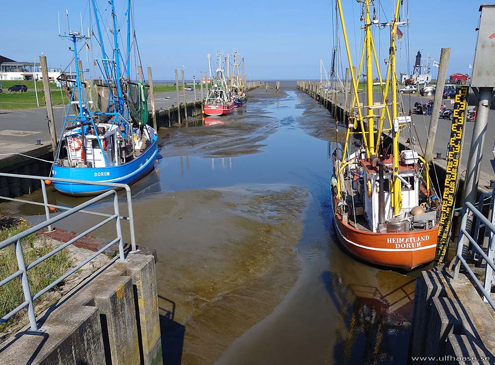 Ultra Skate Challenge (USC) 2025