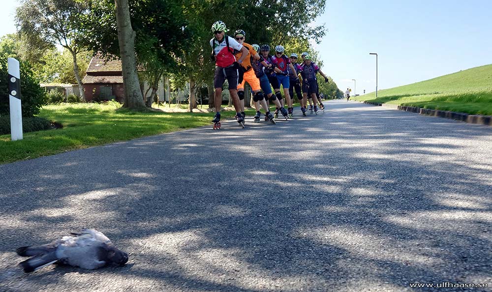 Ultra Skate Challenge (USC) 2025