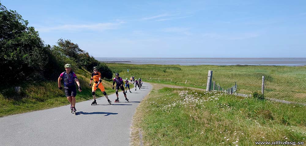 Ultra Skate Challenge (USC) 2025