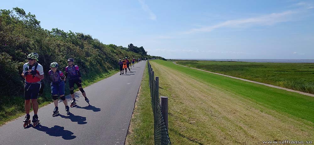 Ultra Skate Challenge (USC) 2025