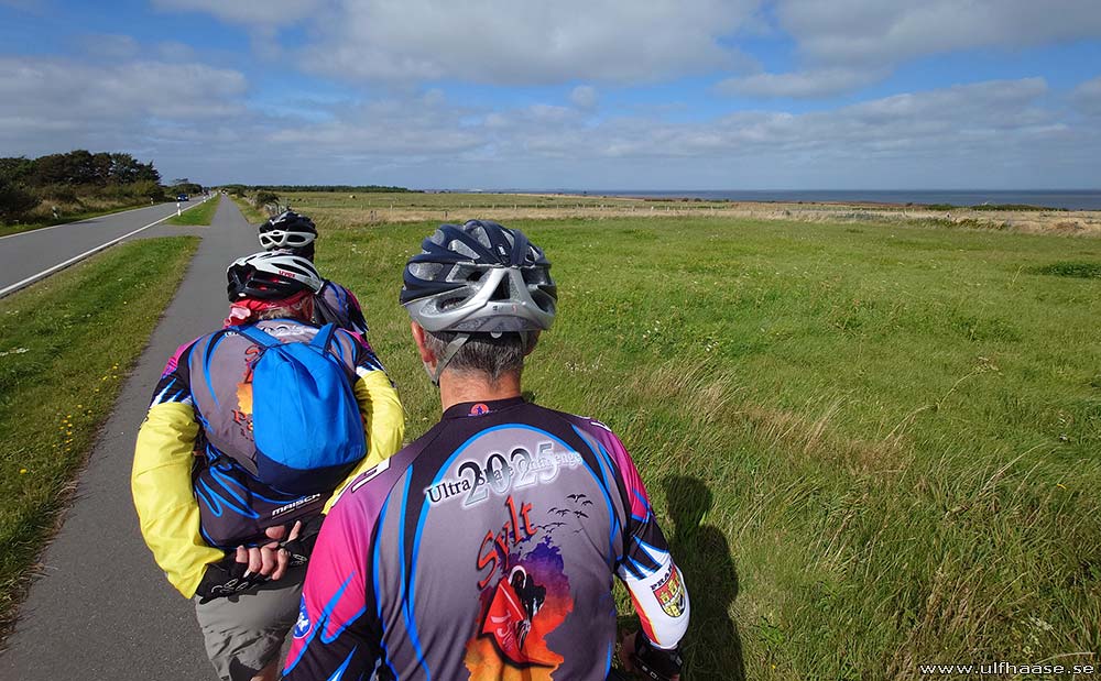 Ultra Skate Challenge (USC) 2025