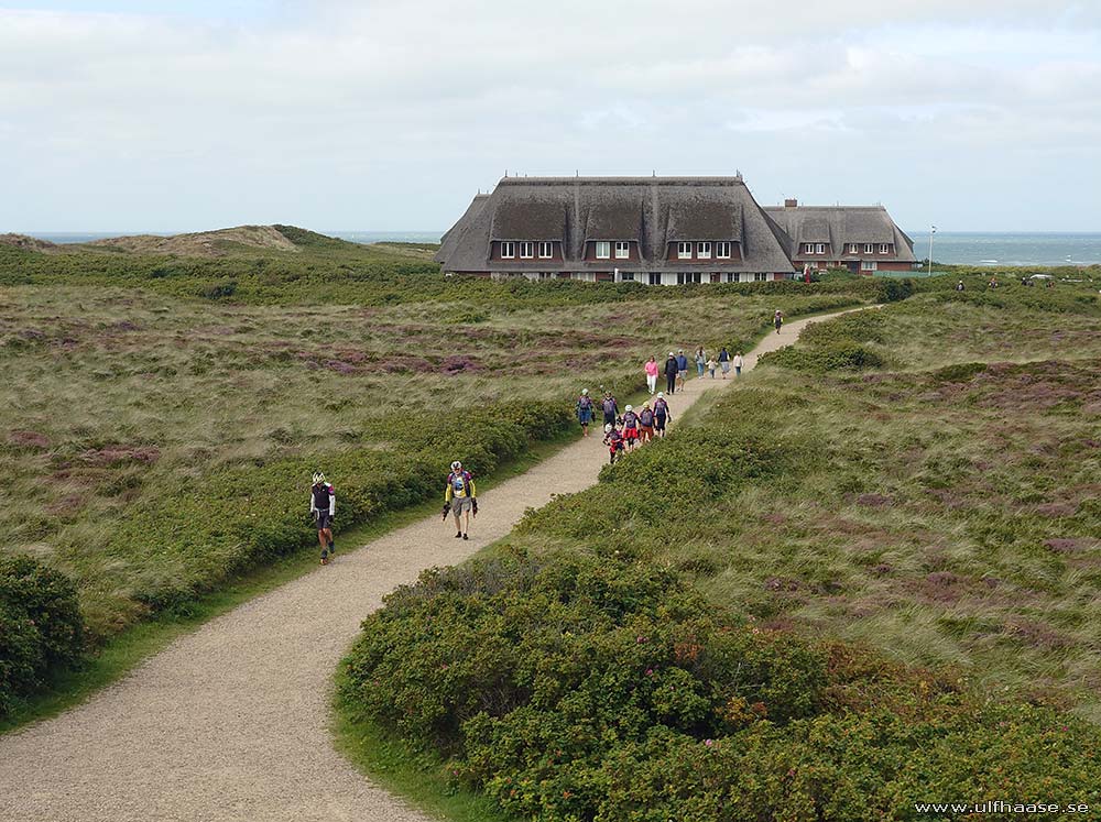 Ultra Skate Challenge (USC) 2025