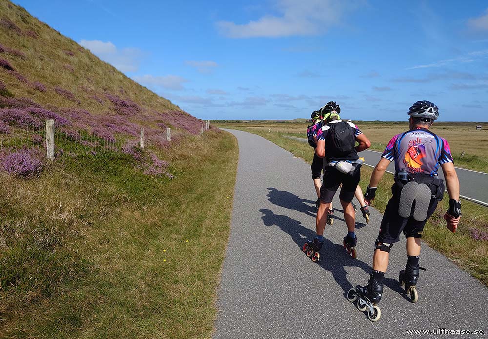 Ultra Skate Challenge (USC) 2025