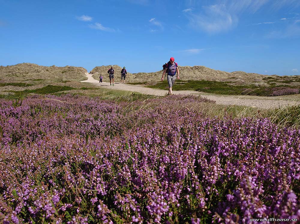 Ultra Skate Challenge (USC) 2025