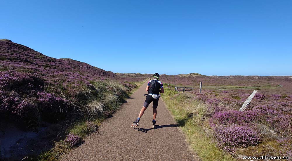 Ultra Skate Challenge (USC) 2025